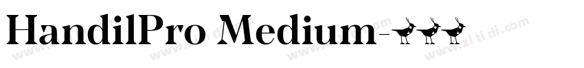 HandilPro Medium字体转换
